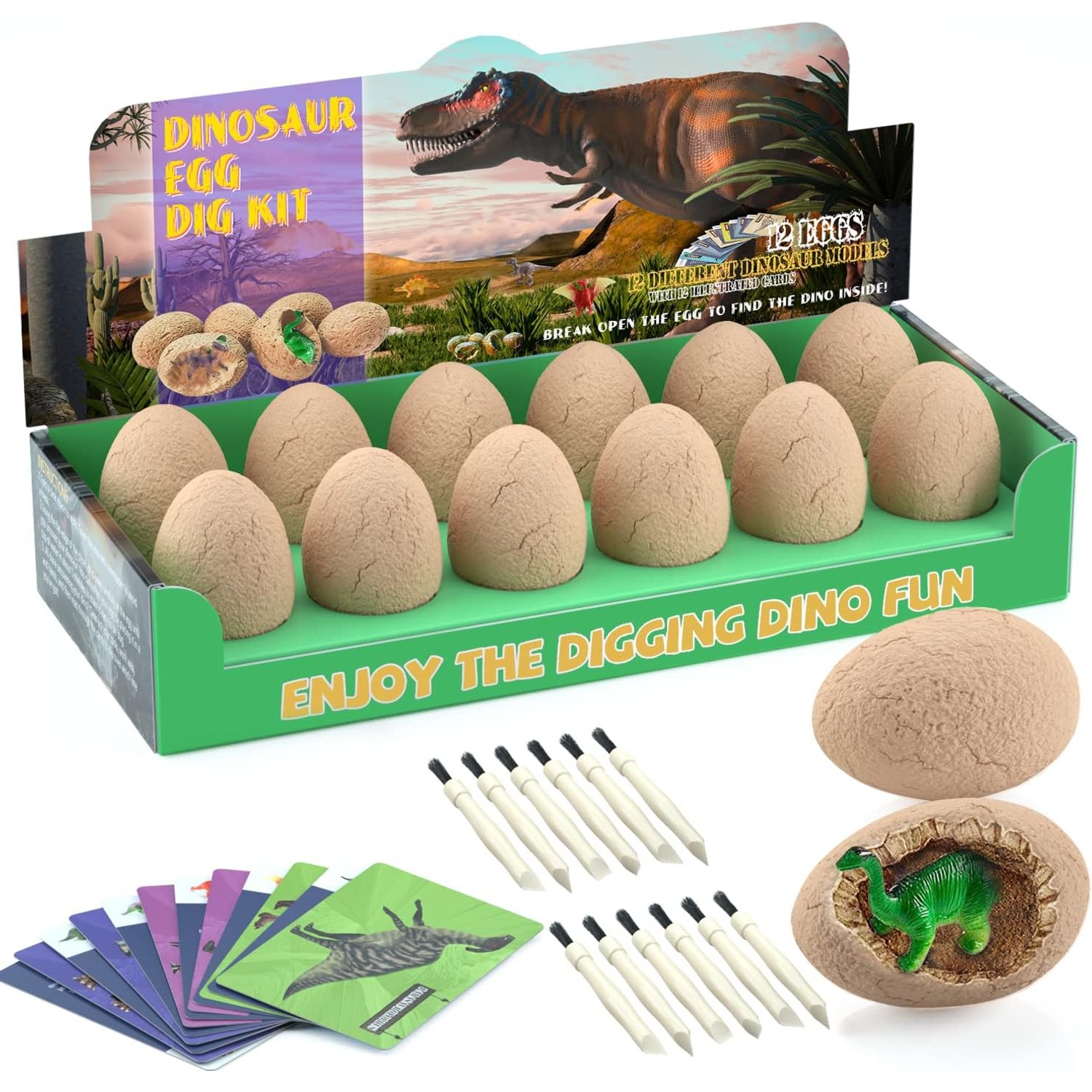 12 Pack Dinosaur Egg Dig Kit with Tools and Learning Cards